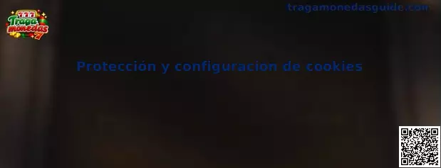 Protección y configuración segura de cookies del sitio web